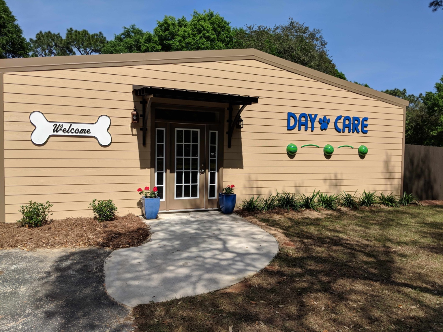 Boarding & Daycare Pensacola, FL Olive Branch Pet Hospital