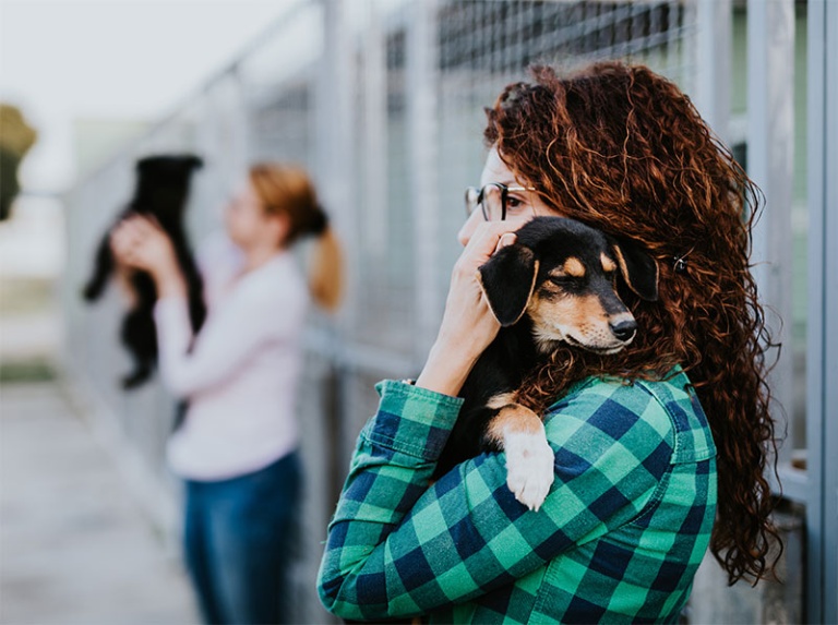 Reasons to Adopt Shelter Animals – National Change a Pet's Life Day ...